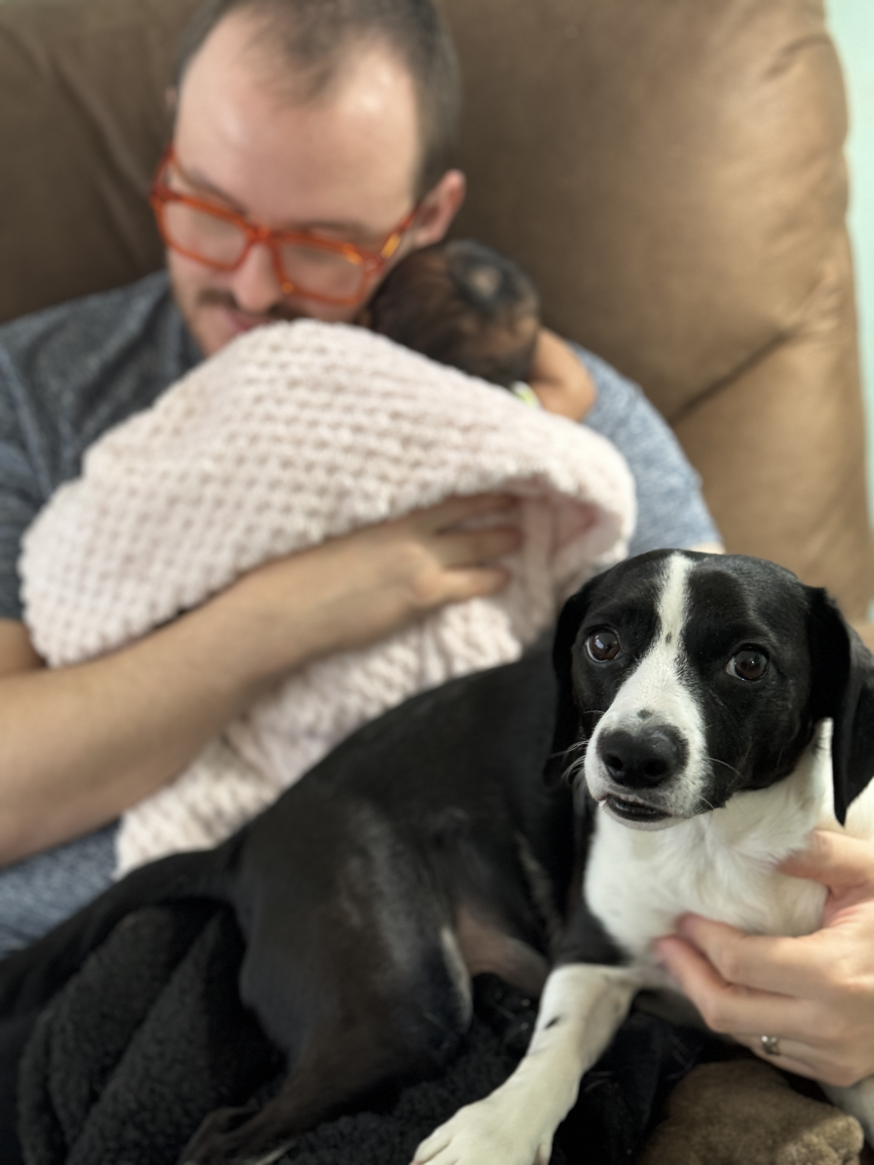 Deepsha's puppy and baby hanging.